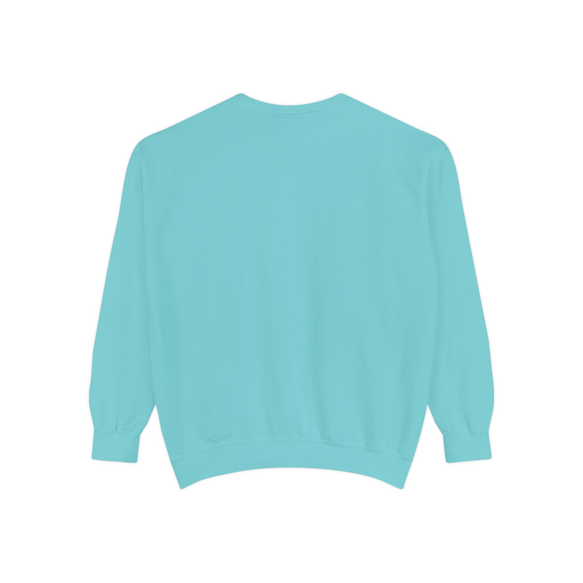 Dolphin Embroidered Crewneck Sweatshirt