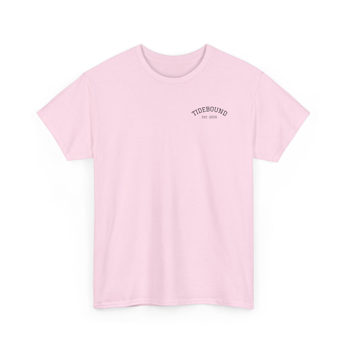 Fish Flag T-Shirt