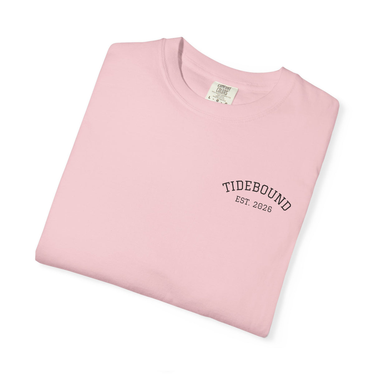 Limited Charleston Harbor Tee
