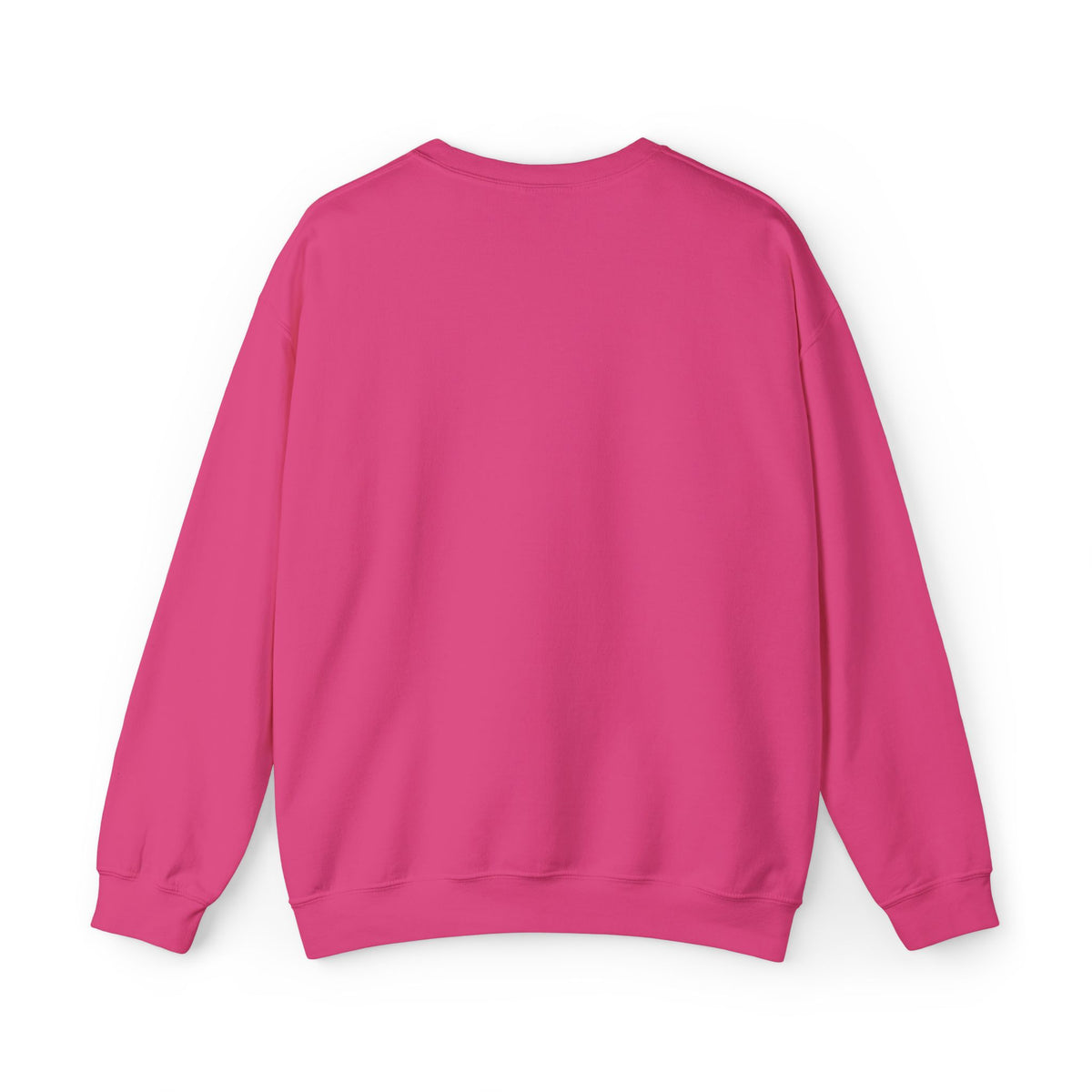 Sea Turtle Embroidered Sweatshirt