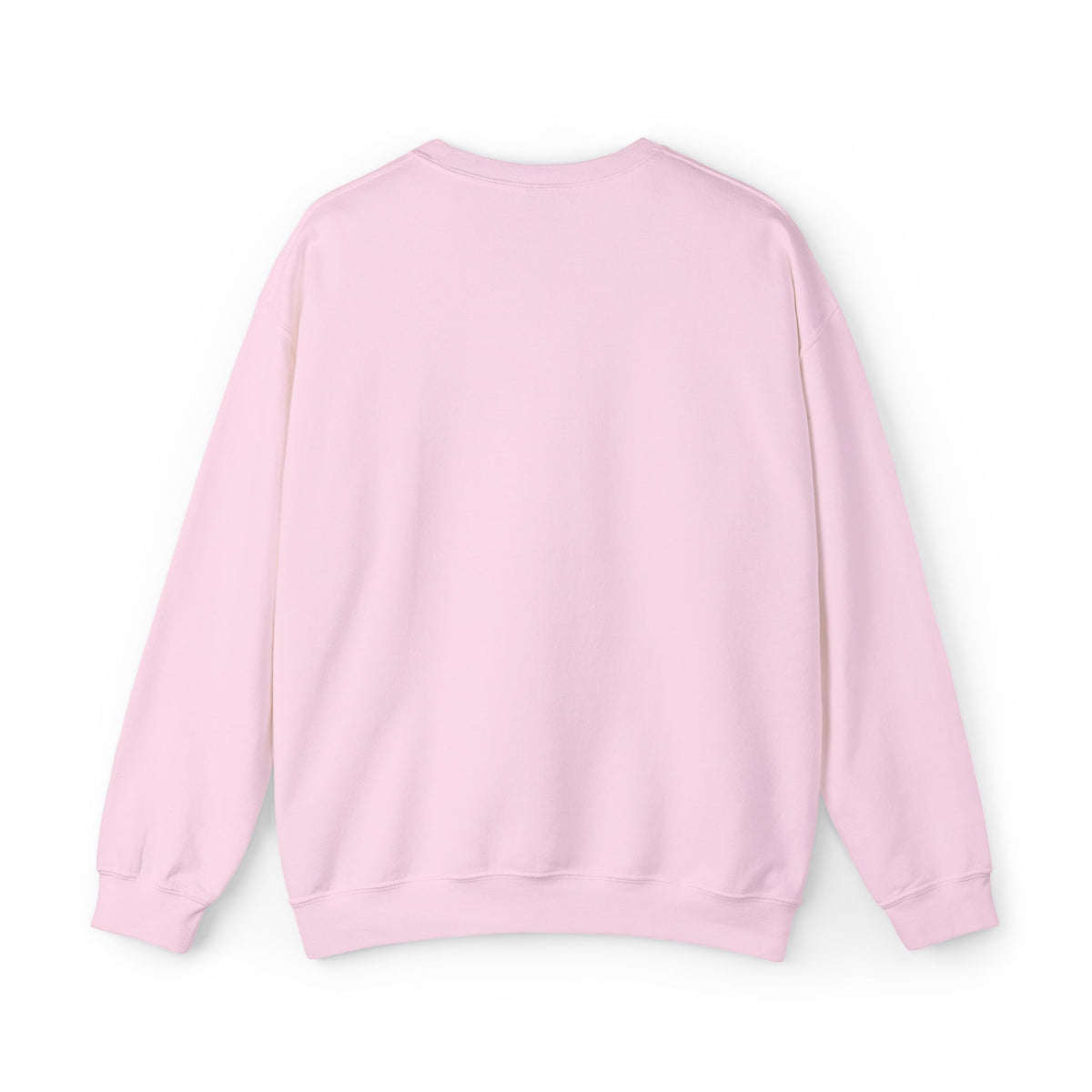 Dolphin Embroidered Sweatshirt