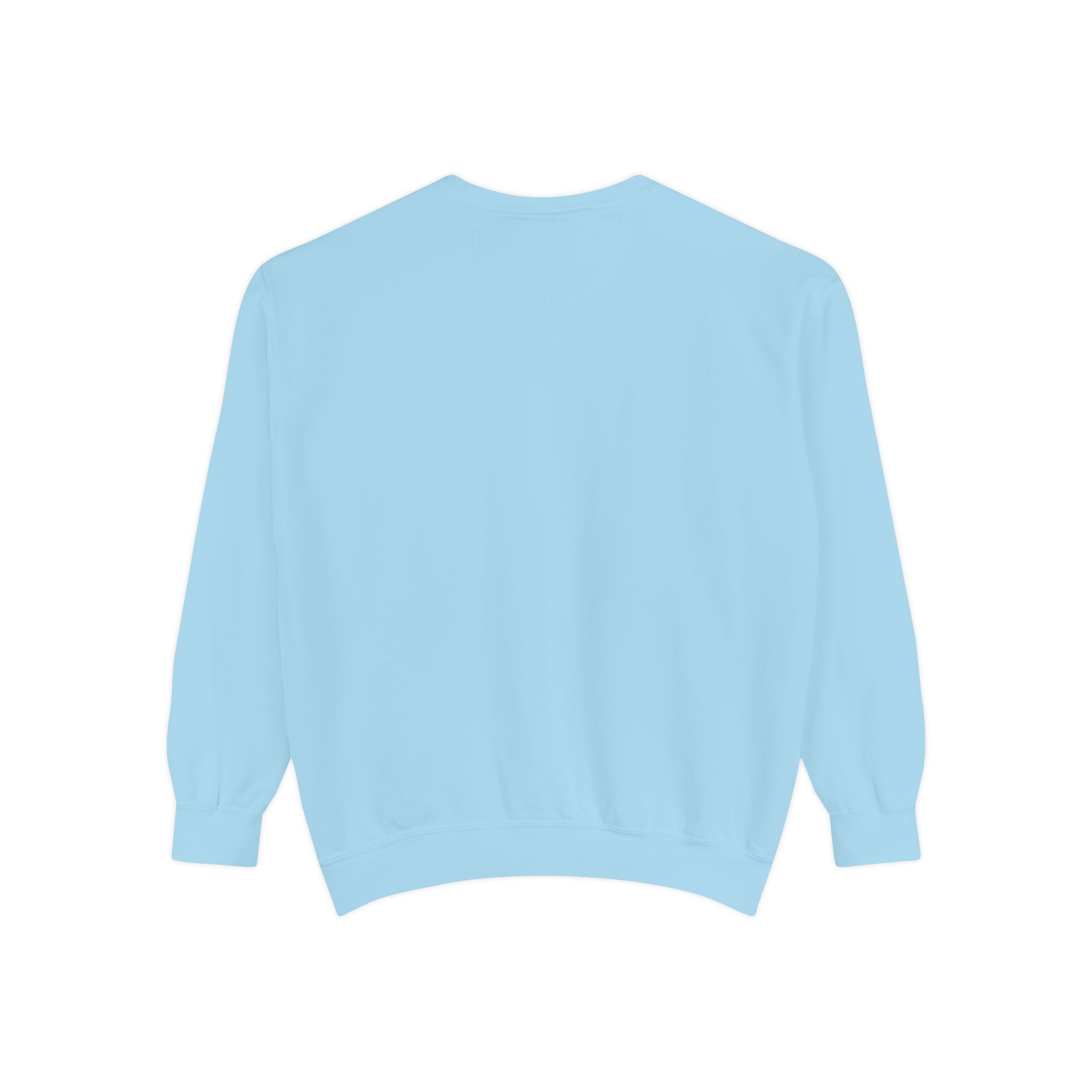 Sea Turtle Embroidered Crewneck Sweatshirt